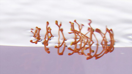 Similar image 22406092