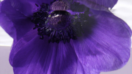 Similar image 22406200