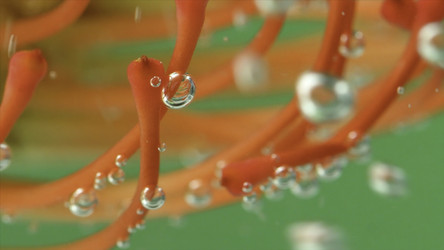 Similar image 22406243