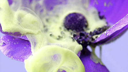 Similar image 22406260