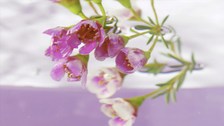 Similar image 22406320