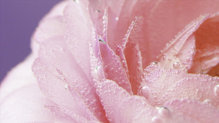 Similar image 22406336