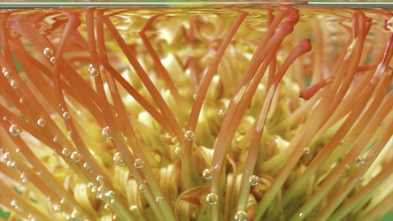 Similar image 22406349