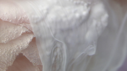 Similar image 22406427