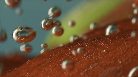 Similar image 22406438