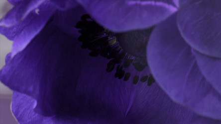 Similar image 22406515