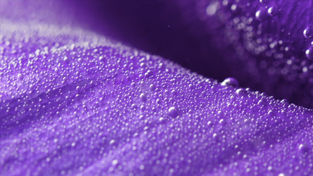 Similar image 22406560