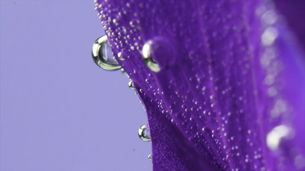 Similar image 22406575