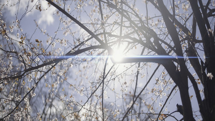 Similar image 22406665