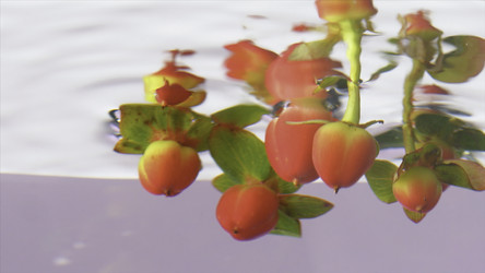 Similar image 22406694