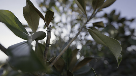 Similar image 22406952