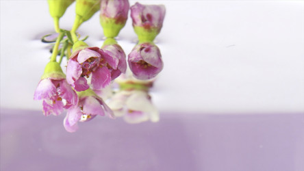 Similar image 22406996