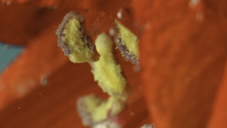 Similar image 22407311