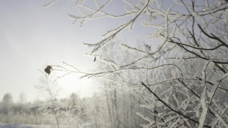 Similar image 22407385