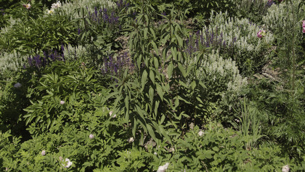 Similar image 22407621