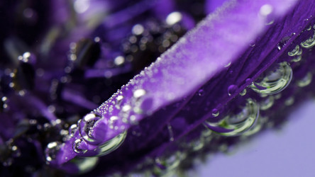 Similar image 22407800