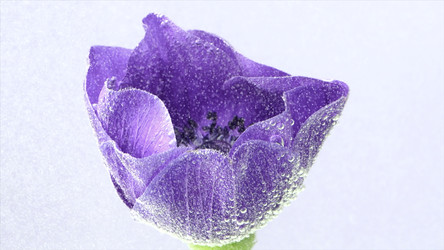 Similar image 22407814