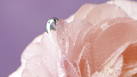 Similar image 22407830