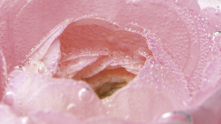 Similar image 22407847