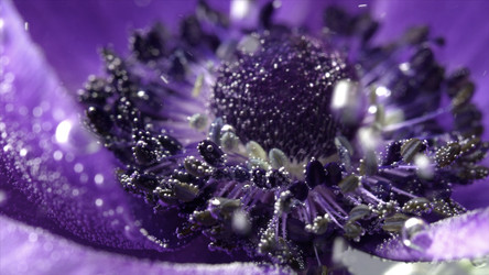 Similar image 22407891