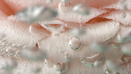 Similar image 22407952