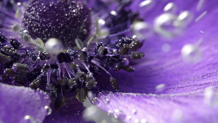 Similar image 22407982