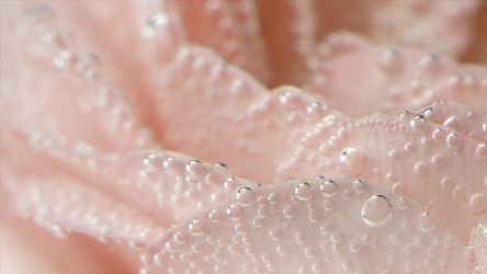 Similar image 22407995