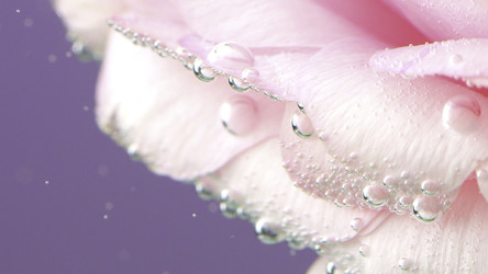 Similar image 22408014