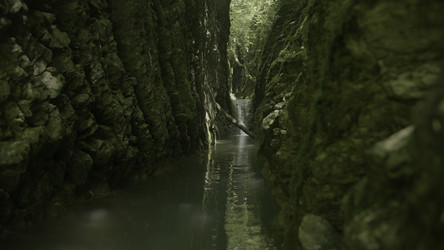 Similar image 22408056