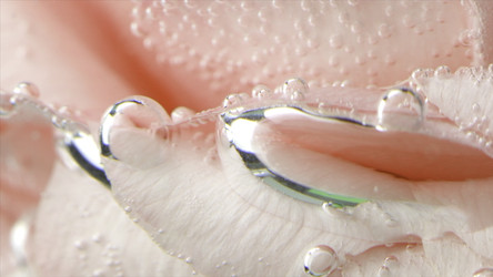 Similar image 22408073