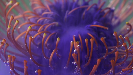 Similar image 22408116