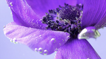 Similar image 22408148