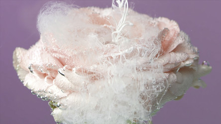 Similar image 22408149