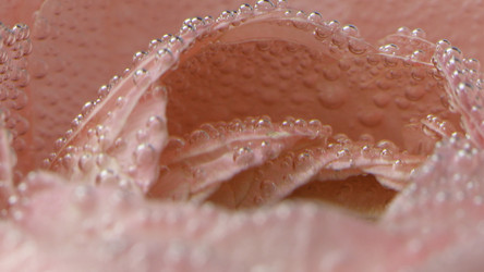 Similar image 22410021