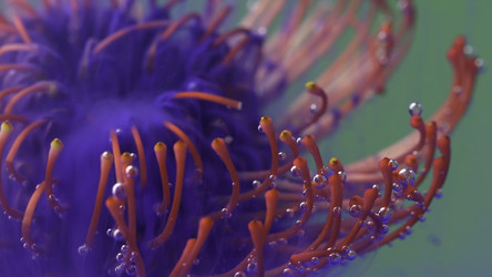 Similar image 22410036