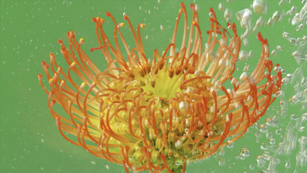 Similar image 22410064