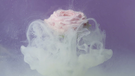 Similar image 22400887