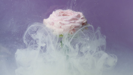 Similar image 22400944