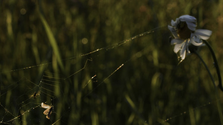 Similar image 22401095