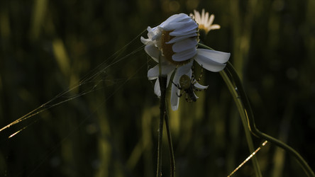 Similar image 22401156