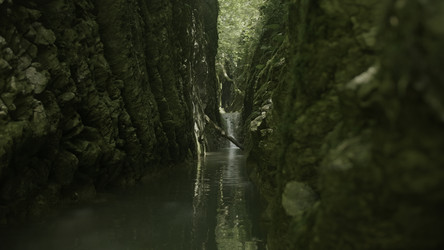 Similar image 22401168