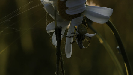 Similar image 22401185