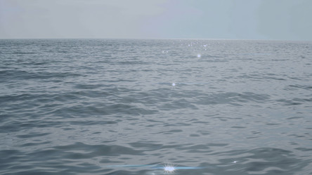 Similar image 22402493