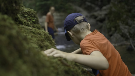 Similar image 22405753