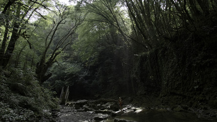 Similar image 22405797