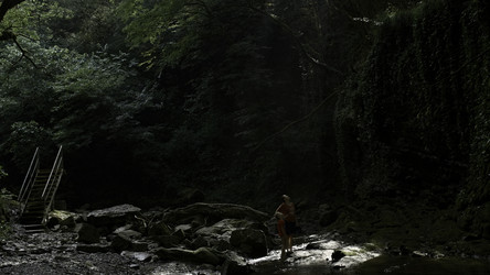 Similar image 22405811