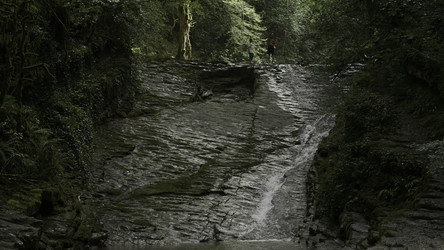 Similar image 22405841