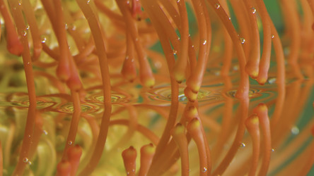 Similar image 22405992