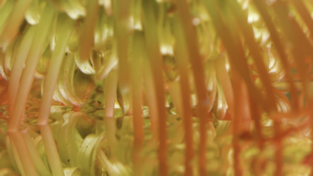 Similar image 22406020