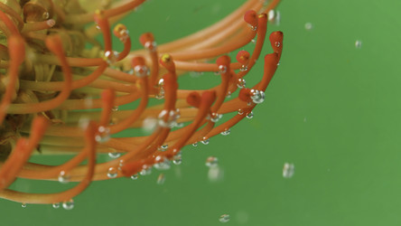 Similar image 22406051